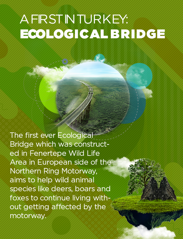 Ecologial Bridge